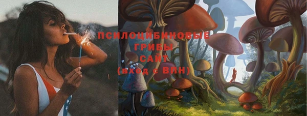 шишки Верхний Тагил