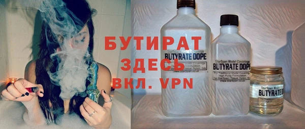 шишки Верхний Тагил