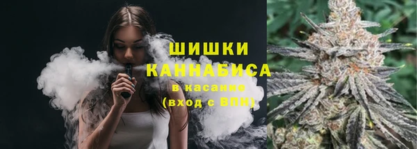 шишки Верхний Тагил