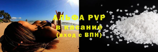 шишки Верхний Тагил