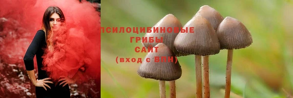 таблы Верея