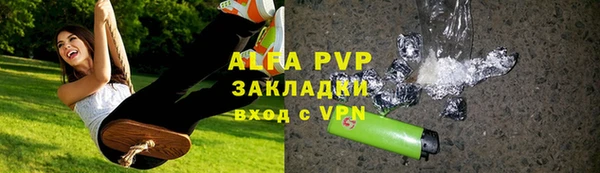 гашик Пересвет